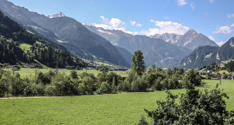 Grüne Landschaft mit Blick auf die Zillertaler Alpen rund um den Metzgerwirt in Laimach.